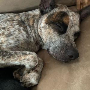 Meet your Posher, Jade